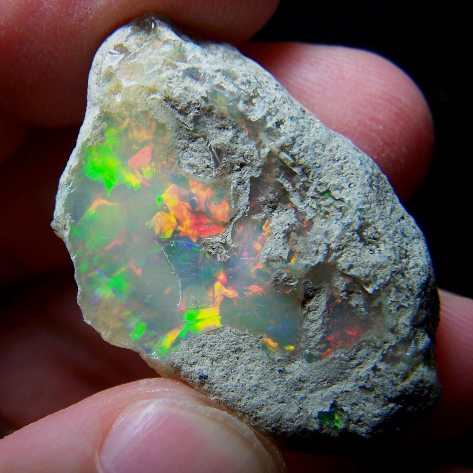 Ethiopian Opal Welo Rough * VIDEO 42.56 CTs AAA FIRE Gamble Grade — photo 1 of 13