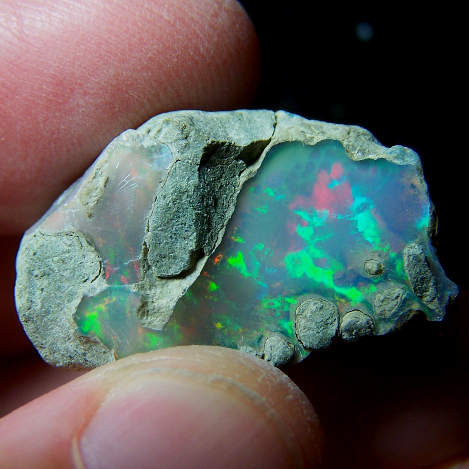 Ethiopian Opal Welo Rough * VIDEO 36.50 CTs AAA FIRE Gamble Grade — photo 1 of 13